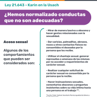 Informativo sobre acoso sexual. Arriba aparece el nombre de la Ley 21.643 - Karinen la USACH. Abajo la pregunta ¿Has normalizado conductas que no son adecuadas? Le sigue una descripción de acciones negativas sobre acoso sexual. Más abajo hay un código QR para acceder a orientación sobre discriminación de género. Abajo el eslogan En la USACH nos tratamos bien