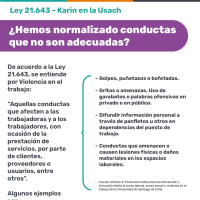 Afiche informativo sobre violencia en el trabajo. Arriba con texto verde dice Ley 21.643 Ley Karin en la Usach. Abajo con texto blanco sobre un bloque morado dice ¿Has normalizado estas conductas? Al centro hay dos columnas de texto, a la izquierda indica lo que define la Ley como Violencia en el Trabajo y en la columna derecha se describen algunas conductas de ese tipo. Abajo, sobre un bloque morado hay un QR para acceder a la página web del Departamento de Derechos y Clima Laboral