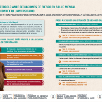 Bajo el título de Protocolo de Acción ante Situaciones de Riesgo en Salud Mental en Contexto Universitario se describe una serie de pasos para proceder en diversas situaciones. Usachín aparece al costado izquierdo.